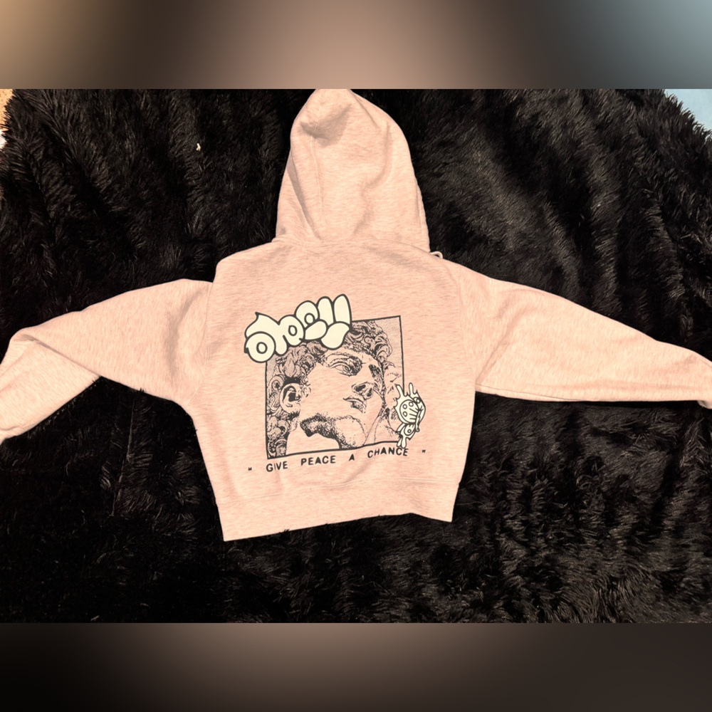 Cropped OBEY hoodie